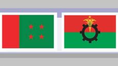 রাজনীতির উত্তরাধিকার, নেতার সন্তান নেতা