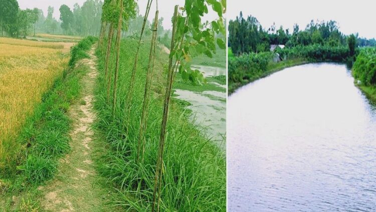 ইআইআর প্রকল্পের বহুমুখী সুফল সরকারের খাল খনন কর্মসূচির কার্যকারিতা প্রমাণ করেছে