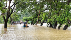 দেশের ৪ নদীর পানি এখনো বিপৎসীমার ওপরে