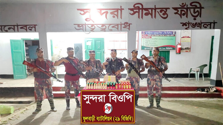 দিনাজপুর সীমান্তে বিজিবির অভিযানে বিপুল মাদক উদ্ধার