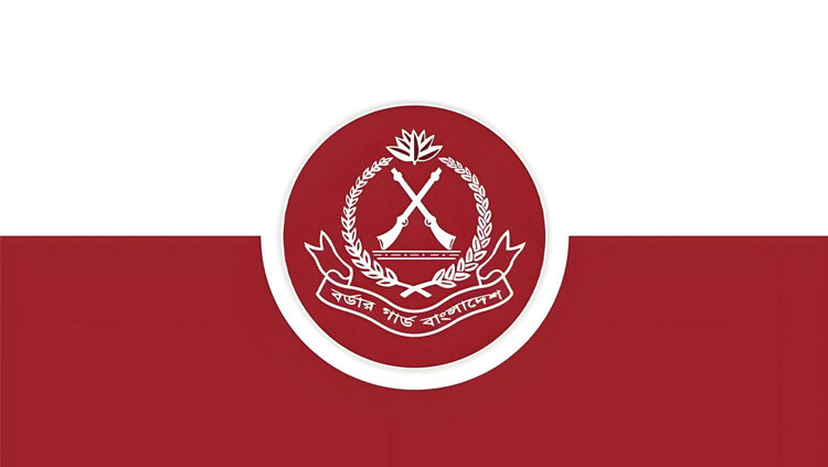 শেরপুর সীমান্তে ভারতীয় মাদক জব্দ