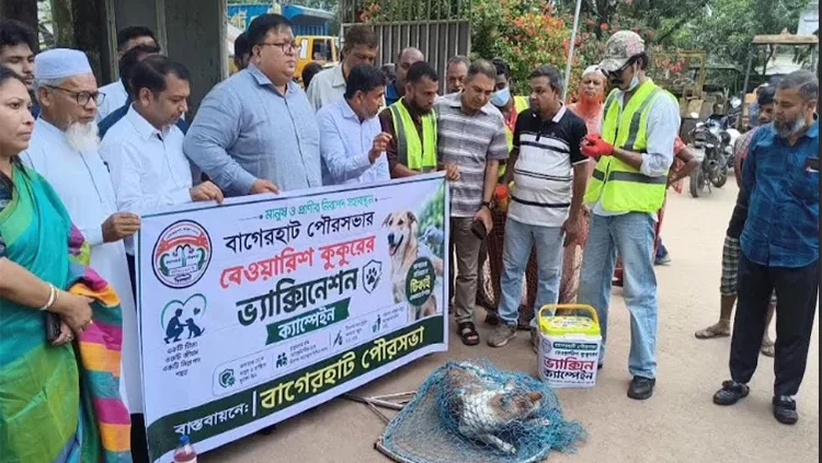 বাগেরহাটে বেওয়ারিশ কুকুরকে ভ্যাকসিন দেয়া শুরু